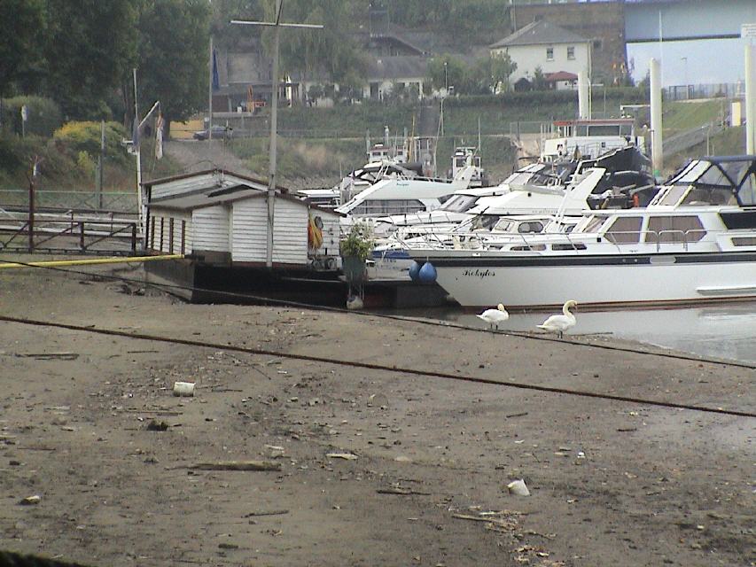 Bilder vom Ehrenbreitsteiner Hafen