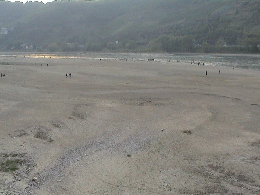 Rhein oberhalb der Loreley